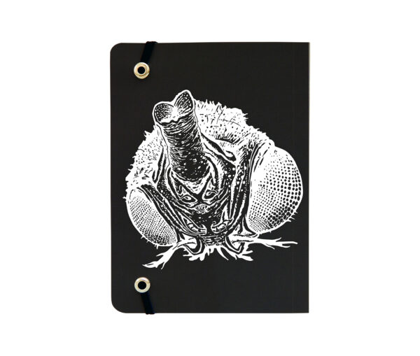 Triana Parera - Mosca Libreta - Image 3